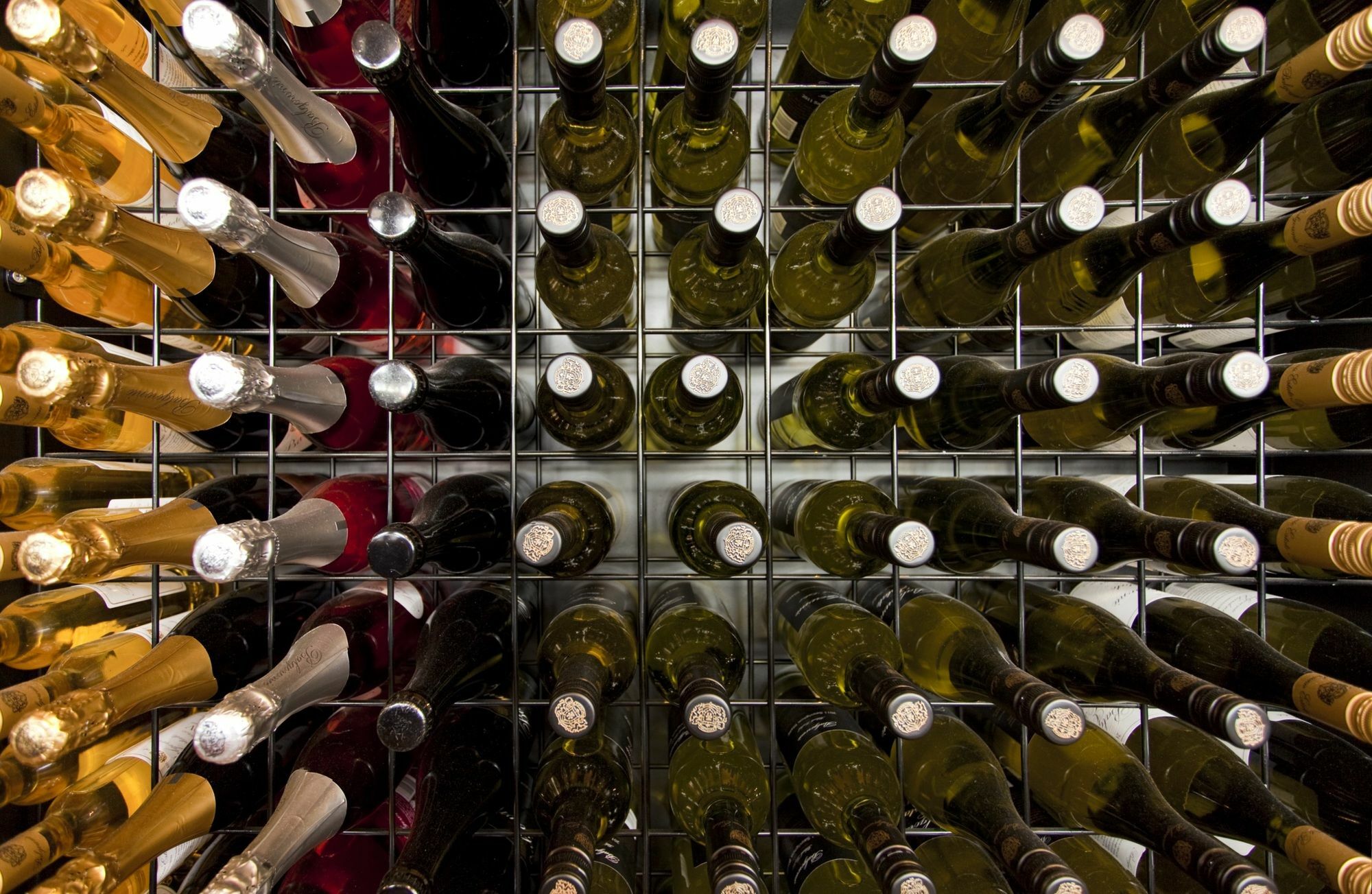 Balgownie Estate Yarra Valley Ярра-Глен Экстерьер фото Wine bottles in a wine rack